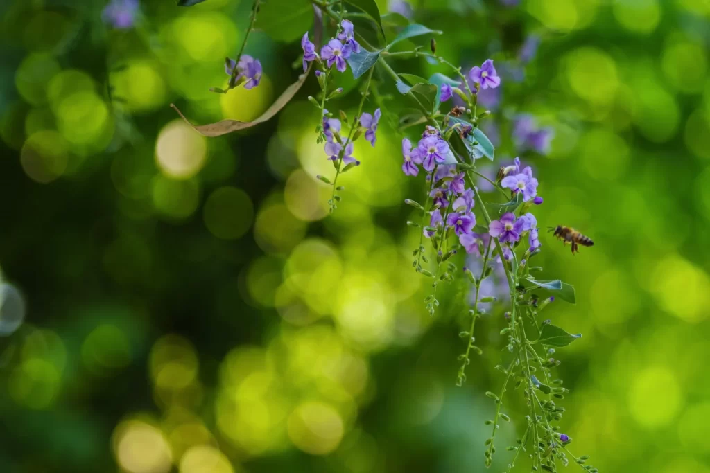 Can Travel Agents Book Shades Of Green? - Wander Through Wonders